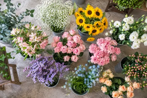 花・園芸・グリーンの写真 No.26