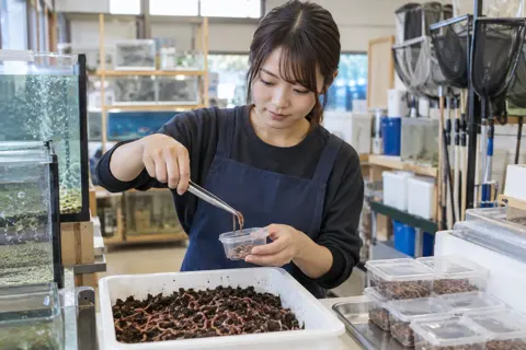 生きたえさを小さな容器に入れる店員（釣具店・フィッシング用品の写真 No.21）