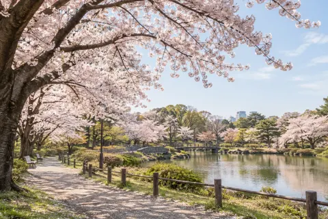 写真スタジオ・出張撮影の写真 No.43
