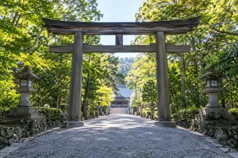 写真スタジオ・出張撮影の写真 No.44